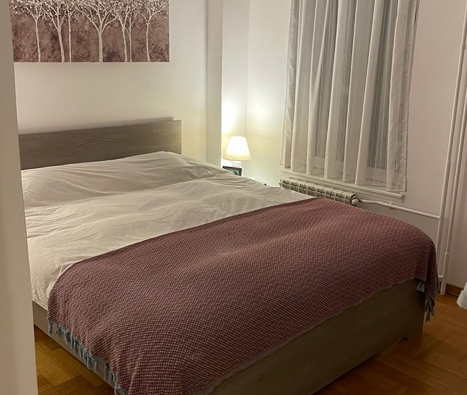 Dvosoban stan na Vračaru - spavaća soba | 1Br apartment in Vračar - bedroom