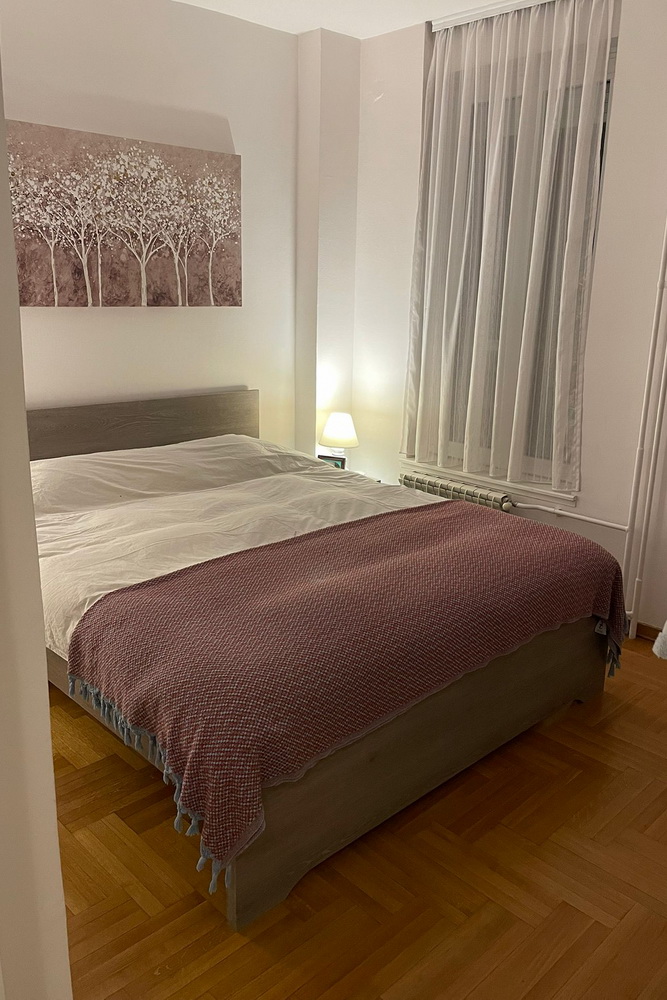 Dvosoban stan na Vračaru - spavaća soba | 1Br apartment in Vračar - bedroom