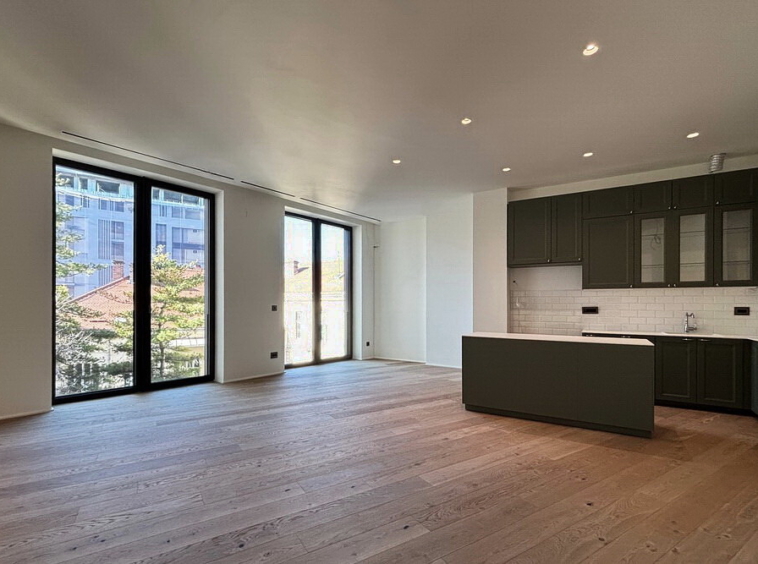 Trosoban stan, Kalemegdan Park - dnevna soba, trpezarija, kuhinja | 2-Br apartment, Kalemegdan Park - living room, dining room, kitchen