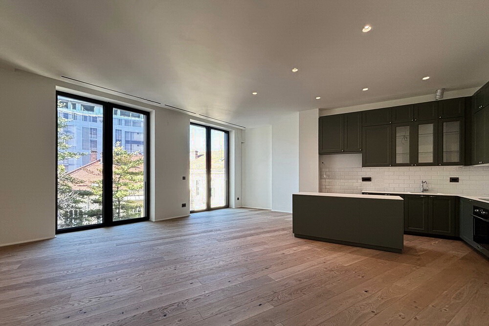 Trosoban stan, Kalemegdan Park - dnevna soba, trpezarija, kuhinja | 2-Br apartment, Kalemegdan Park - living room, dining room, kitchen