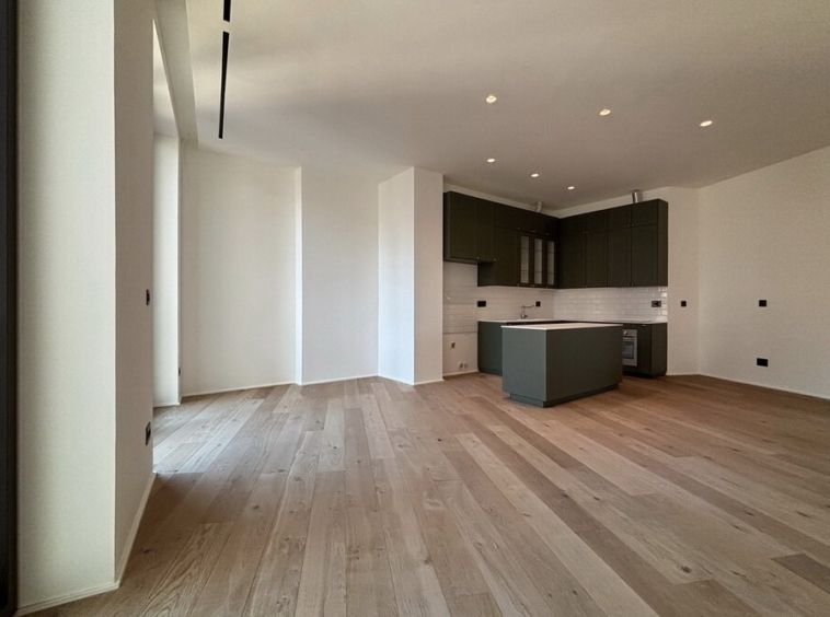 Trosoban stan, Kalemegdan Park - dnevna soba, trpezarija, kuhinja | 2-Br apartment, Kalemegdan Park - living room, dining room, kitchen