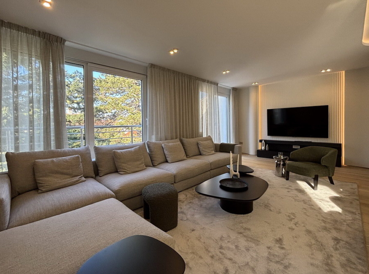 Četvorosoban stan, Dedinje - dnevna soba, trpezarija, kuhinja | 3-Br apartment, Dedinje - living room, dining room, kitchen