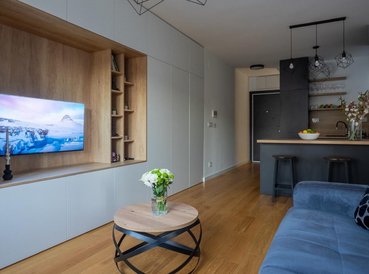 Dvosoban stan, Dorćol - dnevna soba, trpezarija, kuhinja | 1-Br apartment, Dorćol - living room, dining room, kitchen