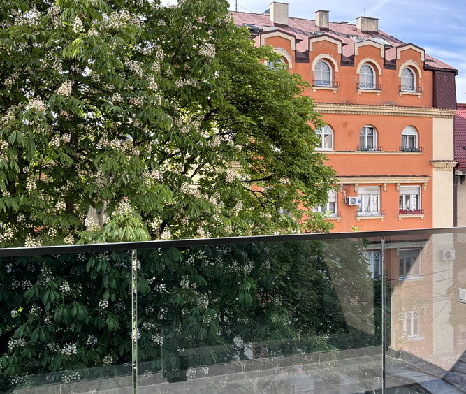 Vračar - terasa | Vračar - terrace
