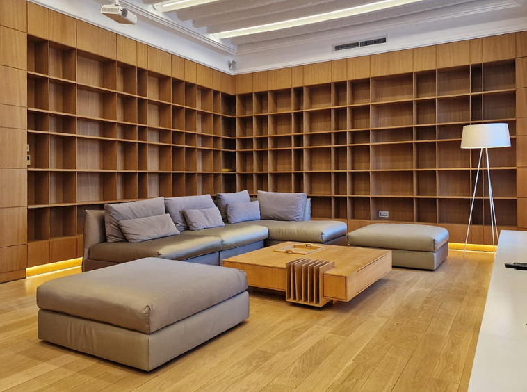 Trosoban stan, Andrićev venac - dnevna soba | 2-Br apartment, Andrićev venac - liviing room