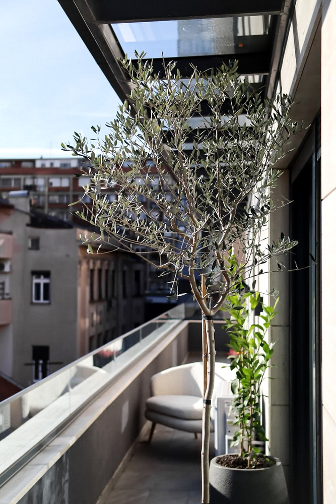Petosoban stan, Palilula - terasa | 4-Br apartment, Palilula - terrace