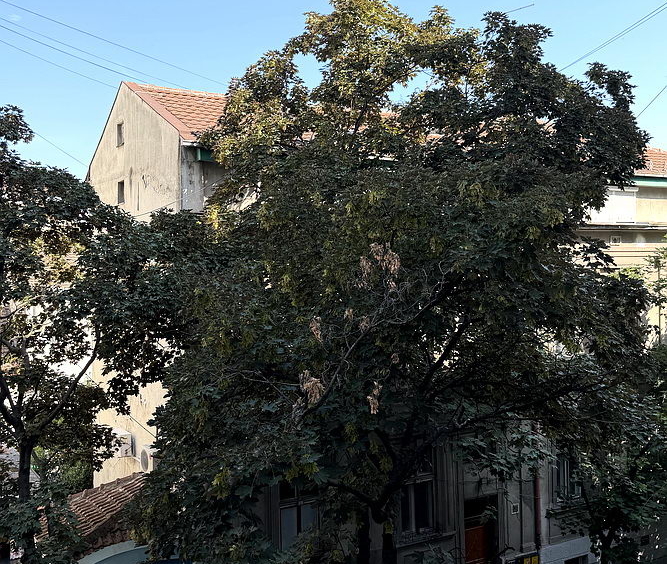 Trosoban stan, Dorćol - pogled s terase | 2-Br apartment, Dorćol - view from the terrace