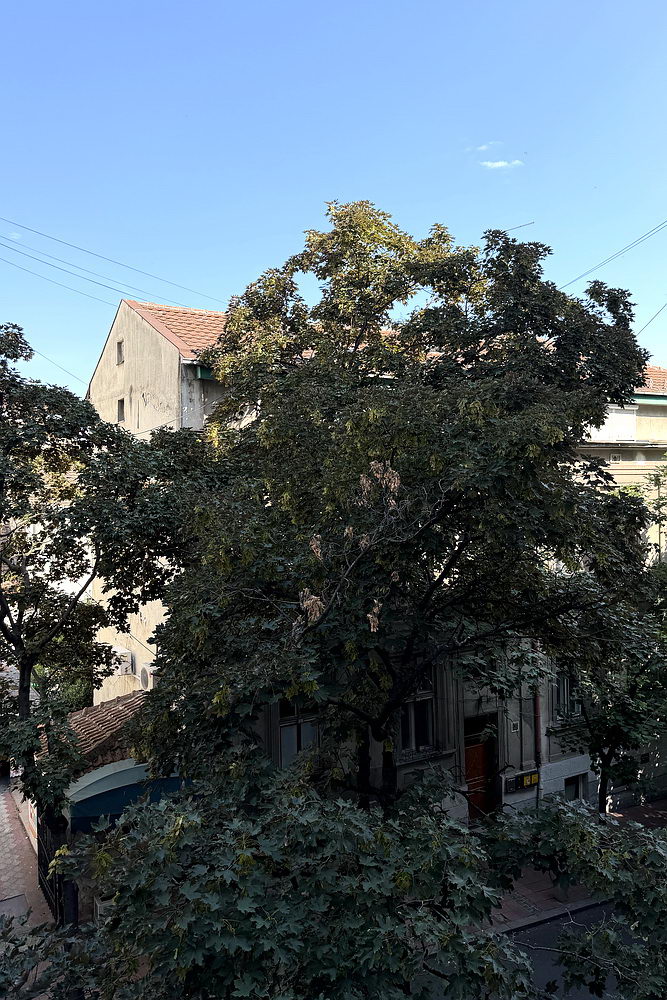 Trosoban stan, Dorćol - pogled s terase | 2-Br apartment, Dorćol - view from the terrace