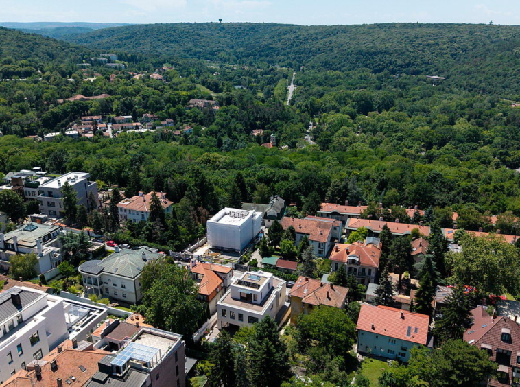Vila, Dedinje | Villa, Dedinje
