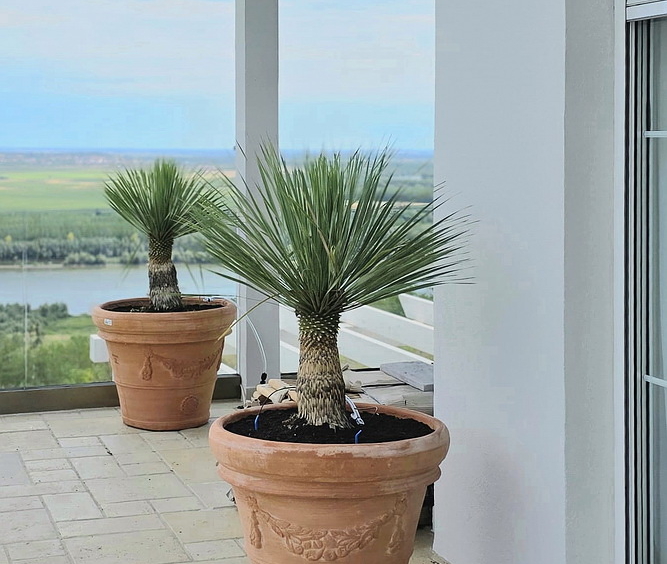 Vila sa tri spavaće sobe, Slankamen | 3-Br villa, Slankamen