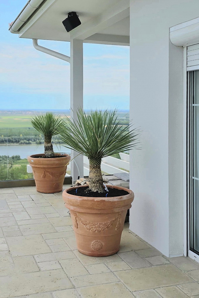 Vila sa tri spavaće sobe, Slankamen | 3-Br villa, Slankamen