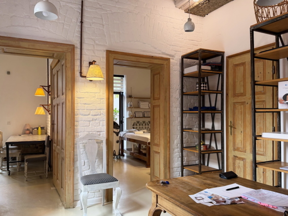 Salonski stan, Vračar | Salon apartment, Vračar