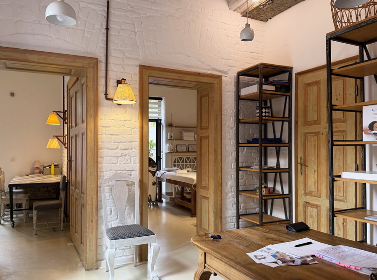 Salonski stan, Vračar | Salon apartment, Vračar
