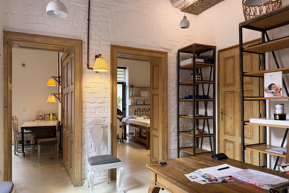Salonski stan, Vračar | Salon apartment, Vračar