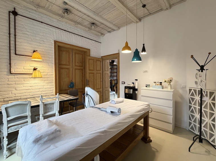 Salonski stan, Vračar | Salon apartment, Vračar