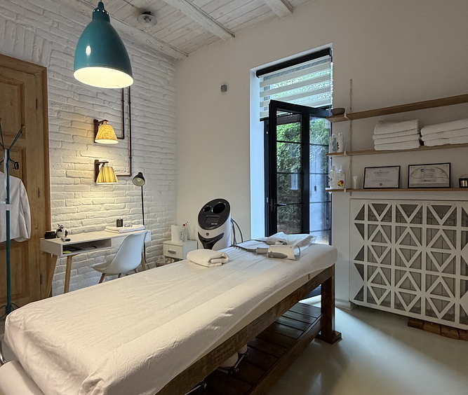 Salonski stan, Vračar | Salon apartment, Vračar