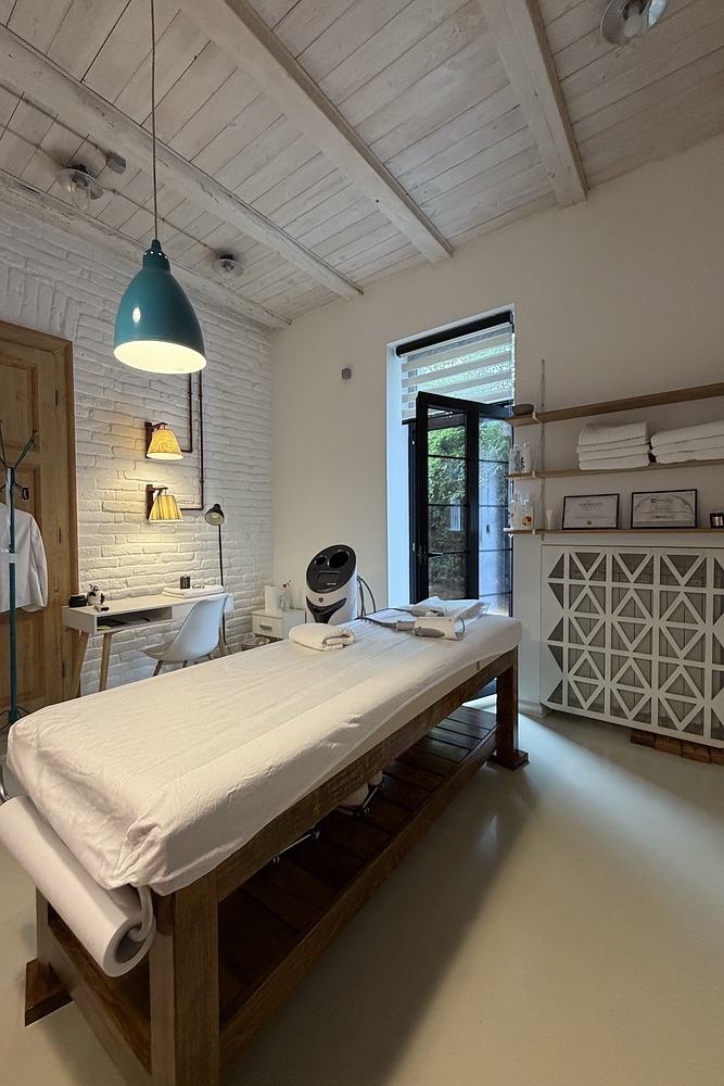 Salonski stan, Vračar | Salon apartment, Vračar