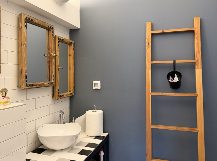 Salonski stan, Vračar | Salon apartment, Vračar