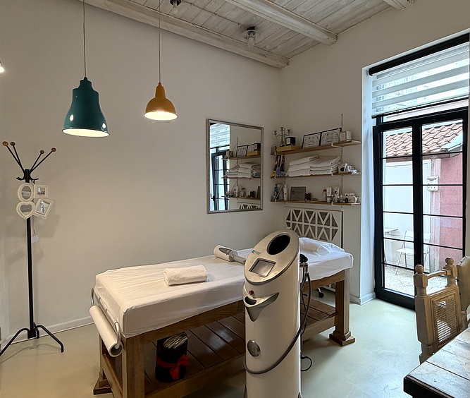 Salonski stan, Vračar | Salon apartment, Vračar