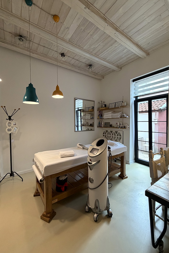 Salonski stan, Vračar | Salon apartment, Vračar
