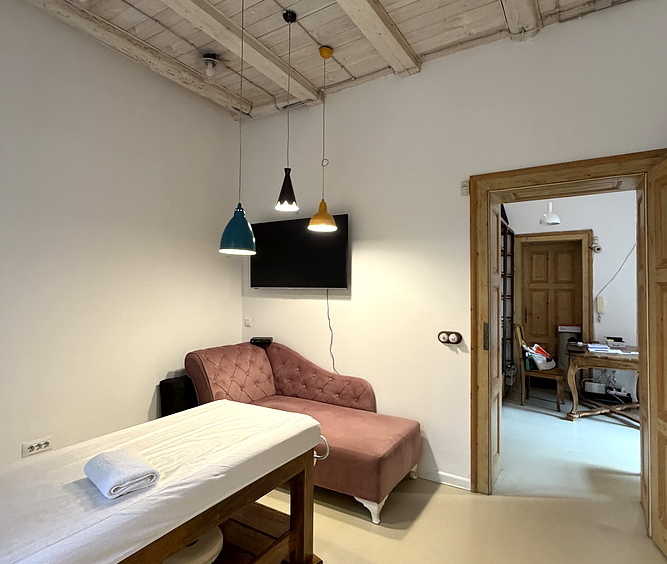 Salonski stan, Vračar | Salon apartment, Vračar