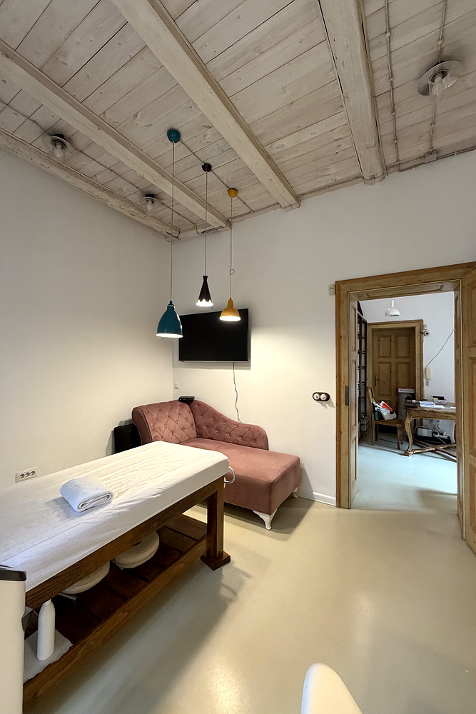 Salonski stan, Vračar | Salon apartment, Vračar