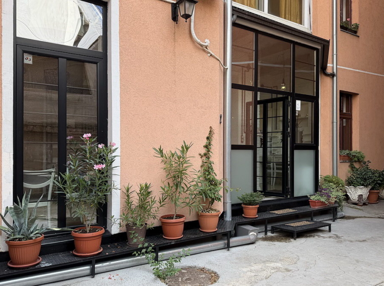 Salonski stan, Vračar | Salon apartment, Vračar