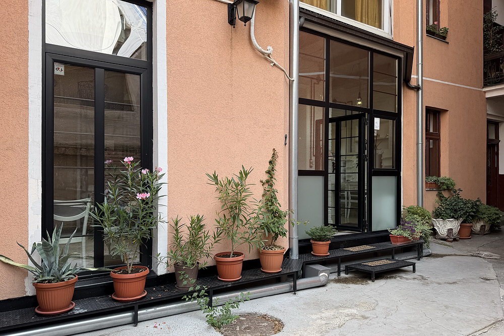 Salonski stan, Vračar | Salon apartment, Vračar