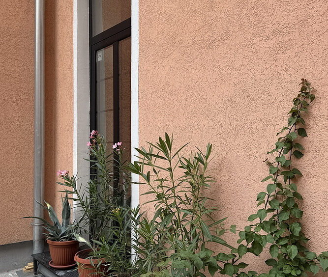 Salonski stan, Vračar | Salon apartment, Vračar