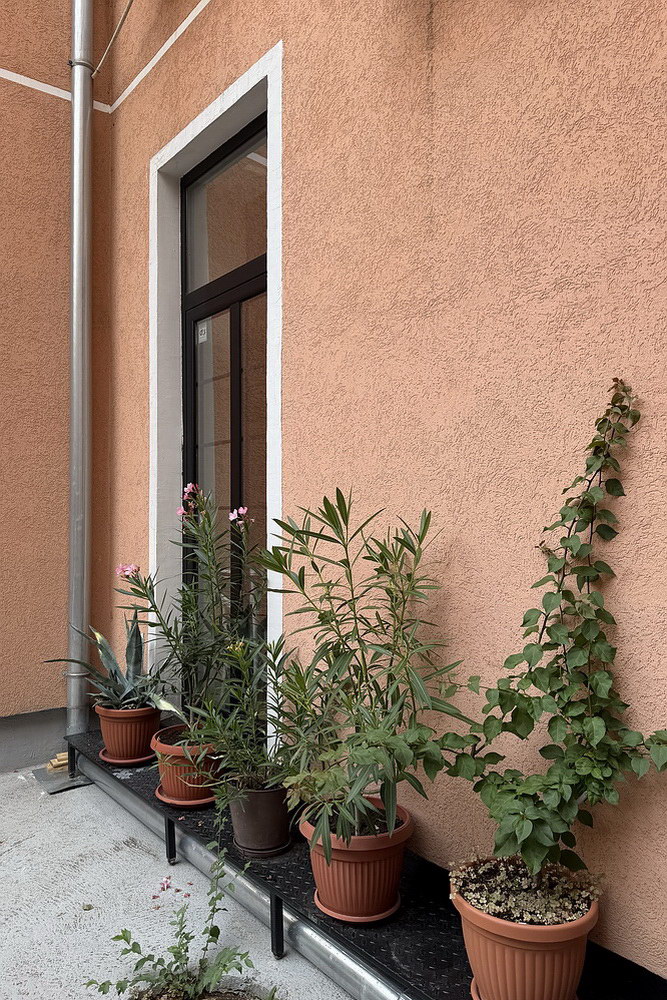 Salonski stan, Vračar | Salon apartment, Vračar