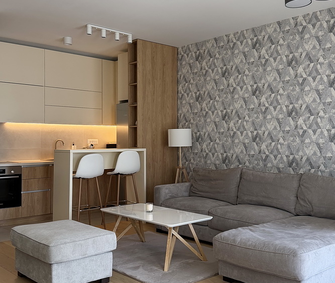 Dvosoban stan, K-District - dnevna soba, trpezarija, kuhinja | 1-Br apartment, K-District - living room, dining room, kitchen