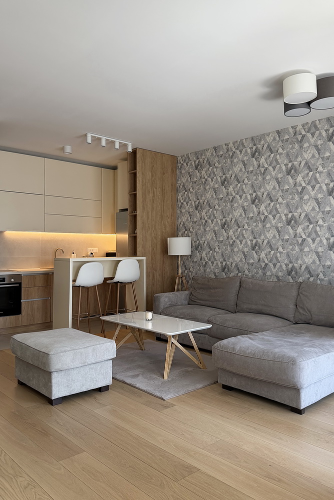 Dvosoban stan, K-District - dnevna soba, trpezarija, kuhinja | 1-Br apartment, K-District - living room, dining room, kitchen